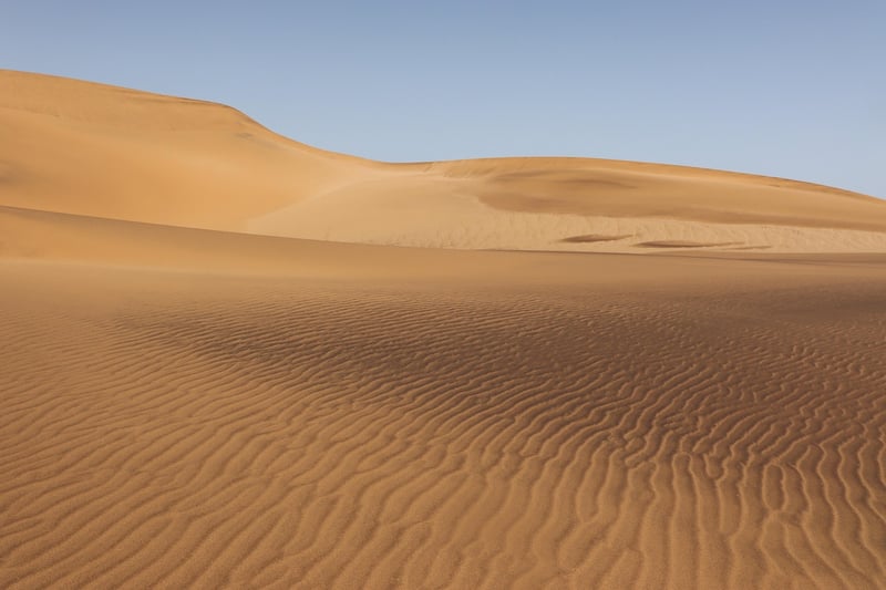 Desert Exploration